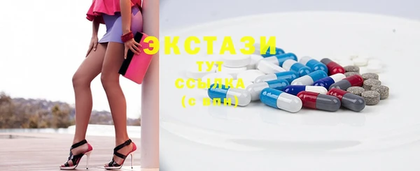 ECSTASY Няндома