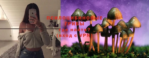 марки lsd Горнозаводск