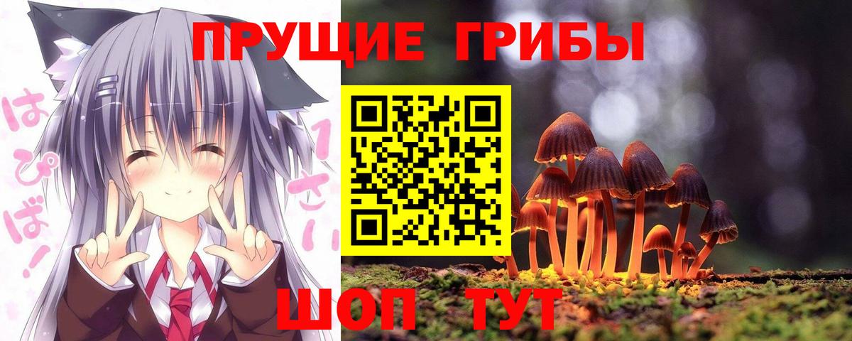 Галлюциногенные грибы прущие грибы  Вход с VPN  Кизляр 