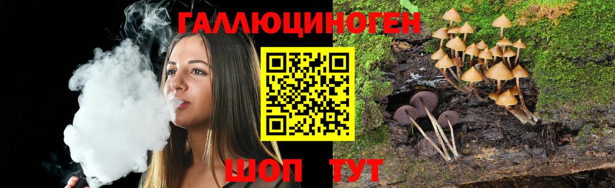 Галлюциногенные грибы мицелий Кизляр